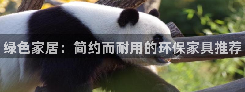 杏宇手机登录线路测速：绿色家居：简约而耐用的环保家具推荐