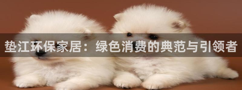 杏宇平台客户端：垫江环保家居：绿色消费的典范与引领者