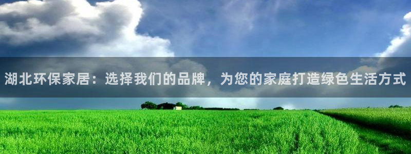 杏宇app怎样申请：湖北环保家居：选择我们的品牌，为您的家庭