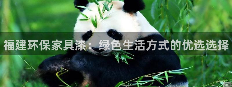 杏宇平台已注册入口：福建环保家具漆：绿色生活方式的优选选择
