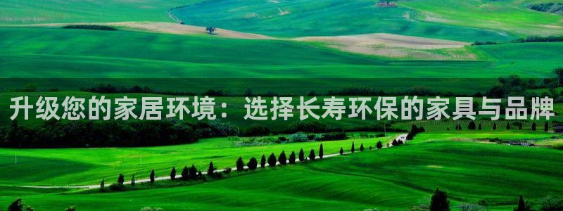 杏宇代理官网：升级您的家居环境：选择长寿环保的家具与品牌