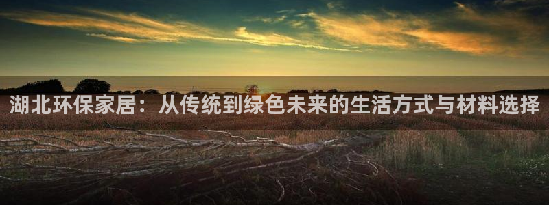 杏宇是什么平台：湖北环保家居：从传统到绿色未来的生活方式与材
